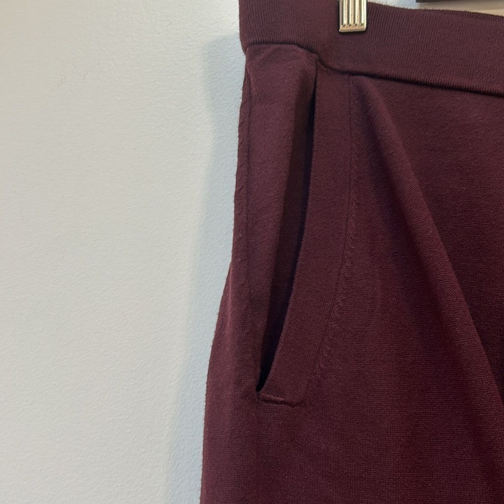 Aritzia Babaton Rodin Burgundy Knit Jogger XL - Picture 8 of 12